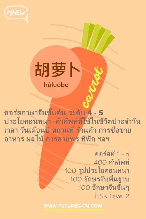 Carrot FB Basic 4 -5 (2)