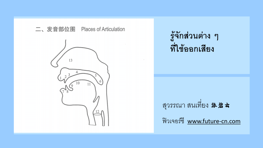 pinyin ส่วนต่าง ๆ ในการออกเสียง