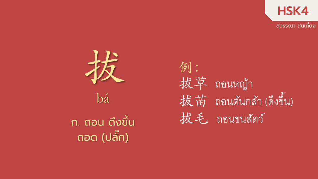 拔 กับ 抽 (2)